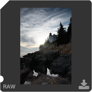 Камера Nikon D500 с объективом AF-S DX Nikkor 16-80mm f/2.8-4E ED VR. Примеры RAW файлов