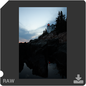 Камера Nikon D500 с объективом AF-S DX Nikkor 16-80mm f/2.8-4E ED VR. Примеры RAW файлов