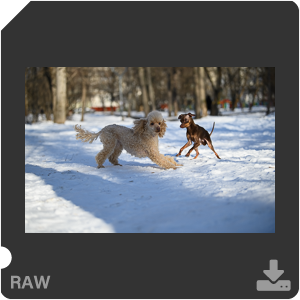 Камера Nikon D780 с объективом AF-S Nikkor 70-200mm f/2.8E FL ED VR. Примеры RAW файлов