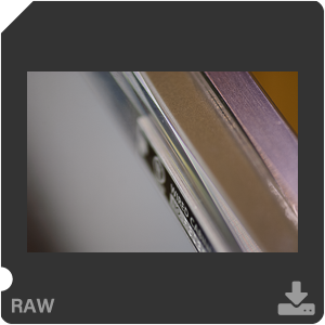 Nikon D200 Camera with AF-S VR Micro-Nikkor 105mm f/2.8G IF-ED. Examples of RAW files