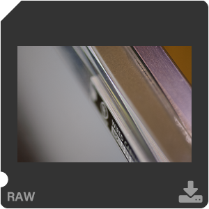 Nikon D200 Camera with AF-S VR Micro-Nikkor 105mm f/2.8G IF-ED. Examples of RAW files