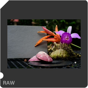 Камера Nikon D810 с объективом AF-S Micro Nikkor 60 mm f/2.8G ED. Примеры RAW файлов