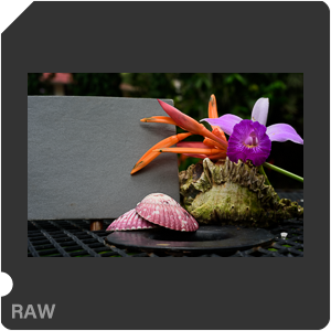 Камера Nikon D810 с объективом AF-S Micro Nikkor 60 mm f/2.8G ED. Примеры RAW файлов