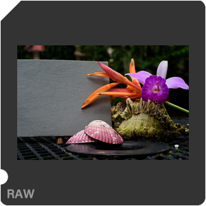 Камера Nikon D810 с объективом AF-S Micro Nikkor 60 mm f/2.8G ED. Примеры RAW файлов