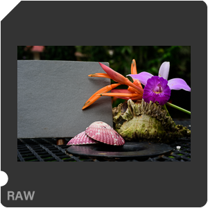 Камера Nikon D810 с объективом AF-S Micro Nikkor 60 mm f/2.8G ED. Примеры RAW файлов