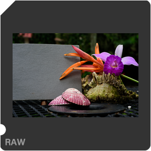 Камера Nikon D810 с объективом AF-S Micro Nikkor 60 mm f/2.8G ED. Примеры RAW файлов