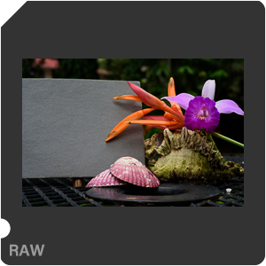 Камера Nikon D810 с объективом AF-S Micro Nikkor 60 mm f/2.8G ED. Примеры RAW файлов