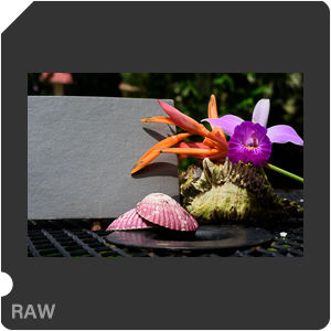 Камера Nikon D810 с объективом AF-S Micro Nikkor 60 mm f/2.8G ED. Примеры RAW файлов