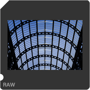 Камера Nikon Z 6 с объективом Nikkor Z 24-70mm f/4 S. Примеры RAW файлов