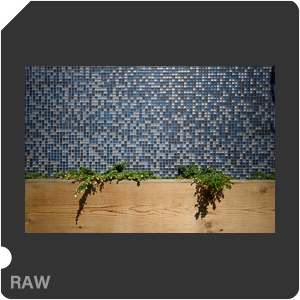 Nikon Z 7II Camera with Nikkor Z 14-24mm f/2.8 S. Examples of RAW files