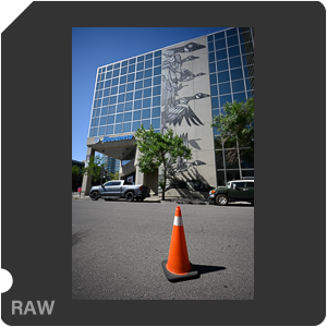 Nikon Z 7II Camera with Nikkor Z 14-24mm f/2.8 S. Examples of RAW files