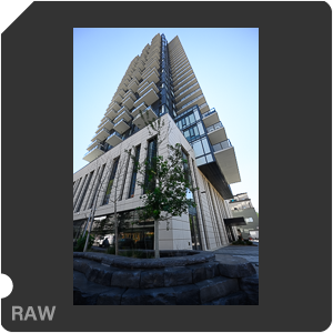 Nikon Z 7II Camera with Nikkor Z 14-24mm f/2.8 S. Examples of RAW files