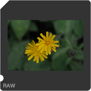 RAW sample