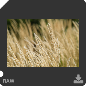 Камера Nikon D с объективом AF-S Nikkor 105 mm f/1.4E ED. Примеры RAW файлов