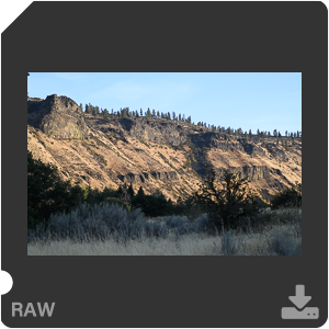 Камера Nikon D с объективом AF-S Nikkor 105 mm f/1.4E ED. Примеры RAW файлов