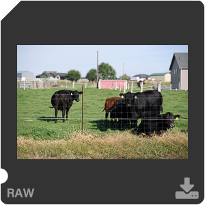 Камера Nikon D с объективом AF-S Nikkor 105 mm f/1.4E ED. Примеры RAW файлов