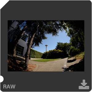 Nikon D810 с объективом AF-S Fisheye Nikkor 8-15mm f/3.5-4.5E ED. Примеры RAW файлов