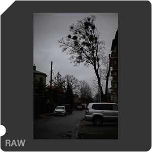 Камера Nikon Z 50 с объективом TTartisan 35 mm f/1.4 Z. Примеры RAW файлов