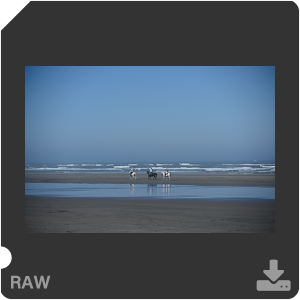 Камера Nikon Z 7II с объективом Nikkor Z MC 105 mm f/2.8 VR S. Примеры RAW файлов