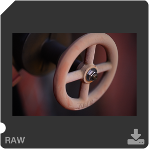 Камера Nikon Z 7II с объективом Nikkor Z MC 105 mm f/2.8 VR S. Примеры RAW файлов