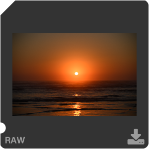 Камера Nikon Z 7II с объективом Nikkor Z MC 105 mm f/2.8 VR S. Примеры RAW файлов