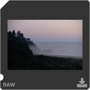 Камера Nikon Z 7II с объективом Nikkor Z MC 105 mm f/2.8 VR S. Примеры RAW файлов