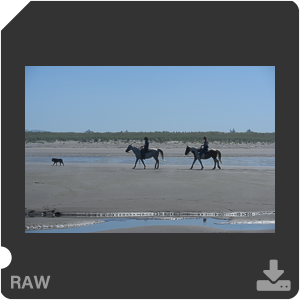 Камера Nikon Z 7II с объективом Nikkor Z MC 105 mm f/2.8 VR S. Примеры RAW файлов