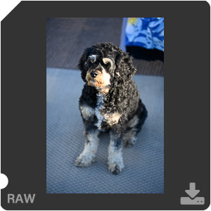 Камера Nikon Z 7II с объективом Nikkor Z MC 105 mm f/2.8 VR S. Примеры RAW файлов