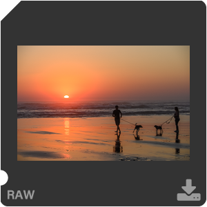 Камера Nikon Z 7II с объективом Nikkor Z MC 105 mm f/2.8 VR S. Примеры RAW файлов