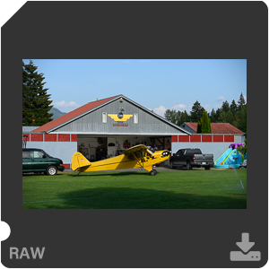 Камера Nikon Z 7II с объективом Nikkor Z MC 105 mm f/2.8 VR S. Примеры RAW файлов