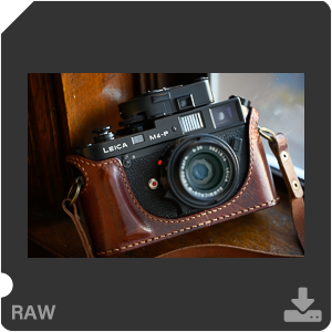 Камера Nikon Z 7II с объективом Nikkor Z MC 105 mm f/2.8 VR S. Примеры RAW файлов