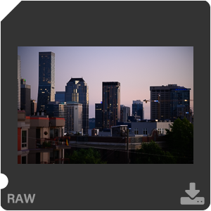 Камера Nikon Z 7II с объективом Nikkor Z MC 105 mm f/2.8 VR S. Примеры RAW файлов