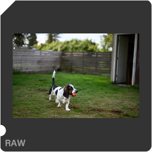 Nikon Z 9 Camera with Nikon Z 9 + Nikkor Z 50mm f/1.2 S. Examples of RAW files