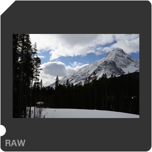 Nikon D780 Camera with Tamron SP 35mm f/1.4 Di USD. Examples of RAW files