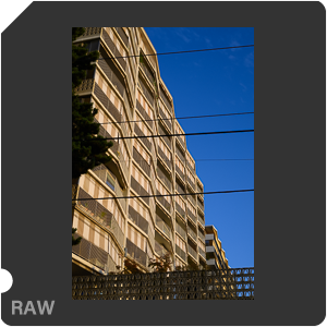 RAW sample