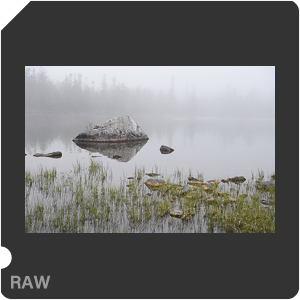 Камера Nikon D5 с объективом AF-S Nikkor 24-70mm f/2.8E ED VR. Примеры RAW файлов