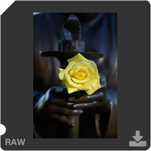 Камера Nikon Z 7II с объективом Nikkor Z MC 105 mm f/2.8 VR S. Примеры RAW файлов