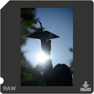 Камера Nikon Z 7II с объективом Nikkor Z MC 105 mm f/2.8 VR S. Примеры RAW файлов