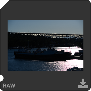 Камера Nikon Z 7II с объективом Nikkor Z MC 105 mm f/2.8 VR S. Примеры RAW файлов