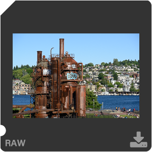 Камера Nikon Z 7II с объективом Nikkor Z MC 105 mm f/2.8 VR S. Примеры RAW файлов