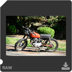 Камера Nikon Z 7II с объективом Nikkor Z MC 105 mm f/2.8 VR S. Примеры RAW файлов