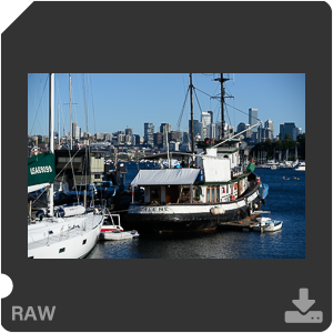 Камера Nikon Z 7II с объективом Nikkor Z MC 105 mm f/2.8 VR S. Примеры RAW файлов