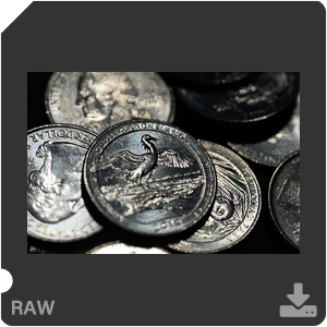 Камера Nikon Z 7II с объективом Nikkor Z MC 105 mm f/2.8 VR S. Примеры RAW файлов