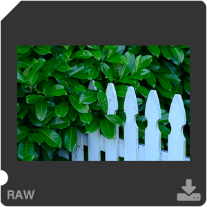 Камера Nikon Z 7II с объективом Nikkor Z MC 105 mm f/2.8 VR S. Примеры RAW файлов