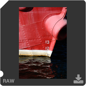 Камера Nikon Z 7II с объективом Nikkor Z MC 105 mm f/2.8 VR S. Примеры RAW файлов