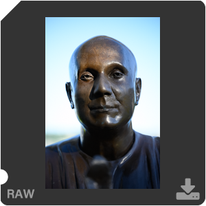 Камера Nikon Z 7II с объективом Nikkor Z MC 105 mm f/2.8 VR S. Примеры RAW файлов