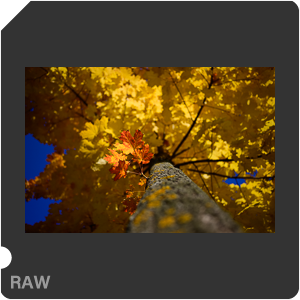 Камера Nikon Z 6 с объективом Nikkor Z 28 mm f/2.8 SE. Примеры RAW файлов