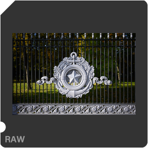 Камера Nikon Z 6 с объективом Nikkor Z 28 mm f/2.8 SE. Примеры RAW файлов