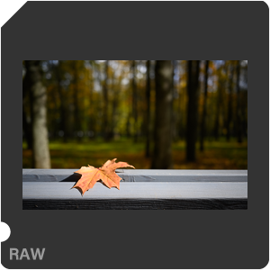 Камера Nikon Z 6 с объективом Nikkor Z 28 mm f/2.8 SE. Примеры RAW файлов