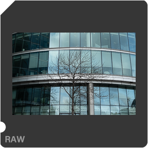RAW sample